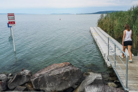 Thumbnail for 7055616