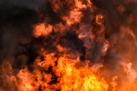 Thumbnail for 7055661