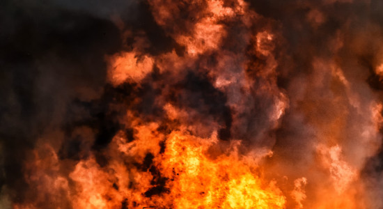 Thumbnail for 7055661