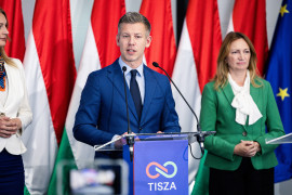 Thumbnail for 7055813