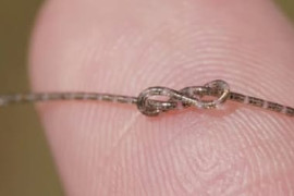 Thumbnail for 7056153