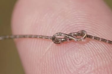 Thumbnail for 7056153