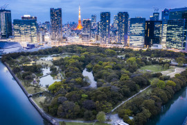 Thumbnail for 7056312