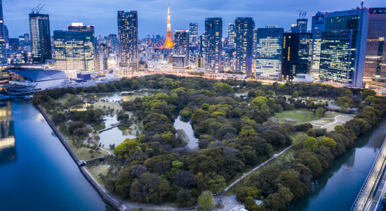 Thumbnail for 7056312