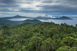 Thumbnail for 7056383