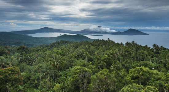 Thumbnail for 7056383