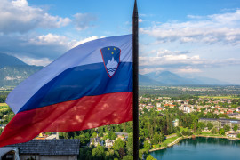 Thumbnail for 7056386