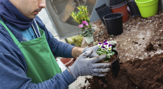 Thumbnail for 7056532