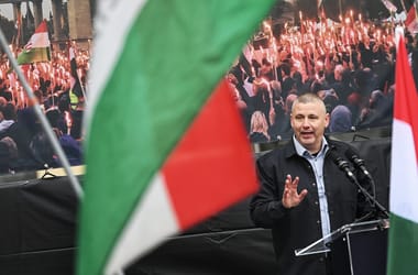 Thumbnail for 7056541