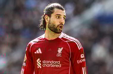 Thumbnail for 7056661