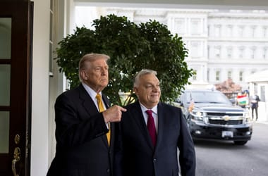 Thumbnail for 7056685