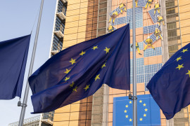 Thumbnail for 7056890