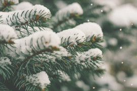 Thumbnail for 7056975