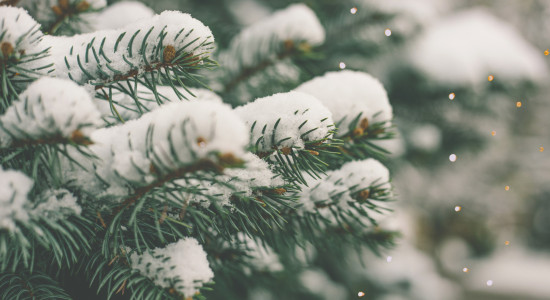 Thumbnail for 7056975