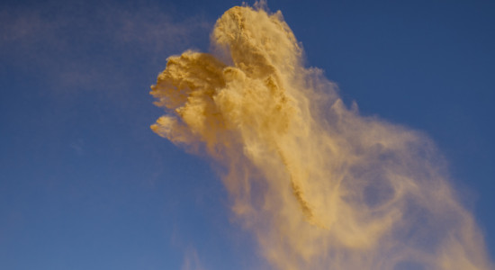 Thumbnail for 7057050