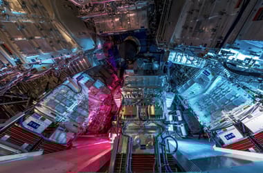 Thumbnail for 7057054