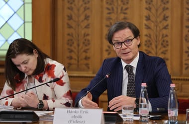 Thumbnail for 7057105