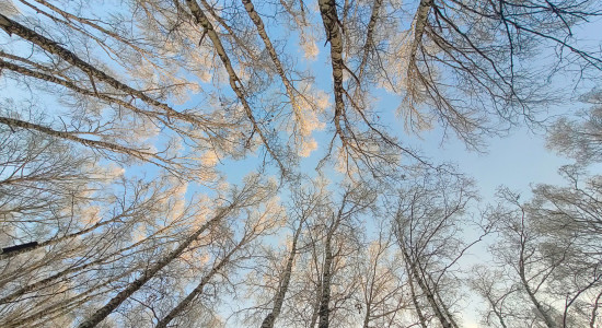 Thumbnail for 7057113