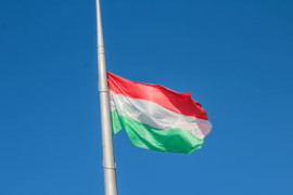 Thumbnail for 7057123