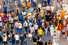 Thumbnail for 7057173