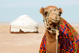 Thumbnail for 7057187