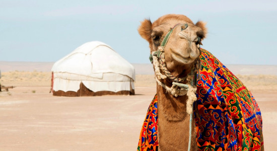 Thumbnail for 7057187