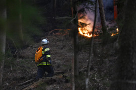 Thumbnail for 7057200