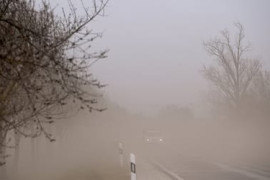 Thumbnail for 7057204