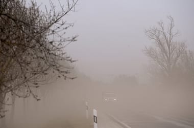 Thumbnail for 7057204