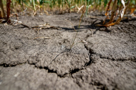 Thumbnail for 7057507