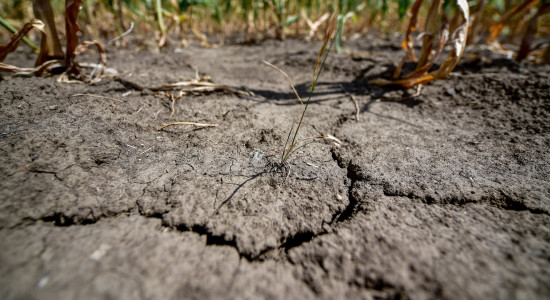 Thumbnail for 7057507