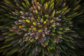 Thumbnail for 7057563