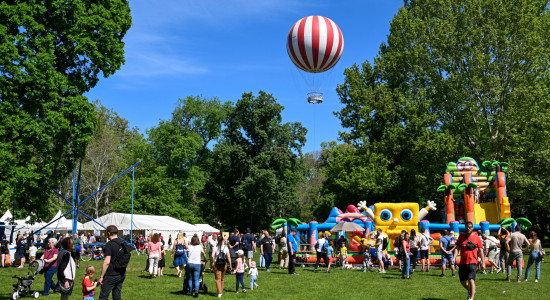 Thumbnail for 7057572