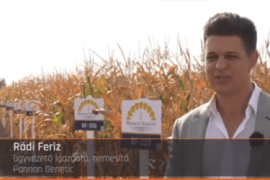 Thumbnail for 7057874