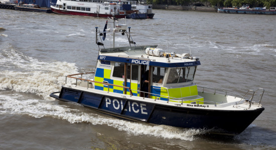 Thumbnail for 7058103