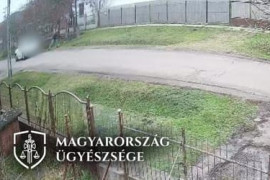 Thumbnail for 7058333