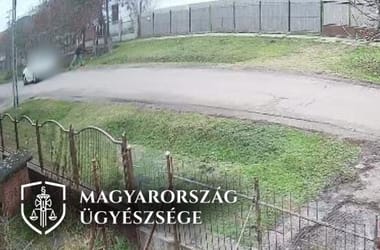 Thumbnail for 7058333