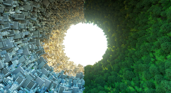 Thumbnail for 7058390