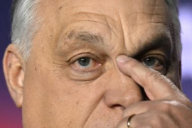 Thumbnail for 7058879