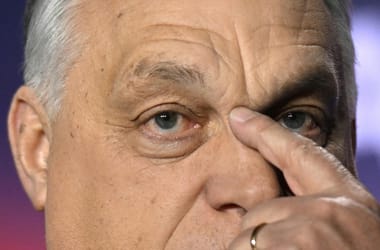 Thumbnail for 7058879