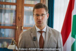 Thumbnail for 7058988