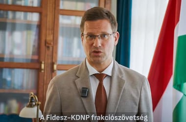 Thumbnail for 7058988