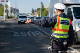 Thumbnail for 7059087