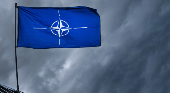 Thumbnail for 7059278