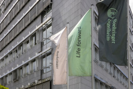 Thumbnail for 7059836