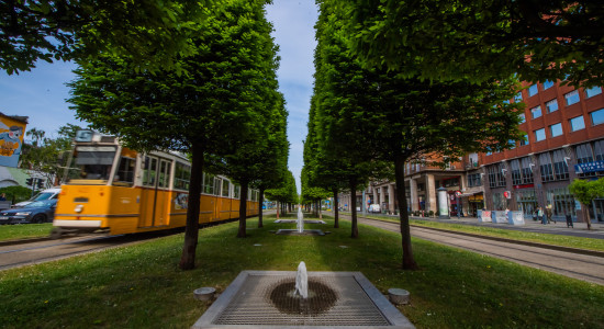 Thumbnail for 7059962