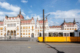 Thumbnail for 7060544