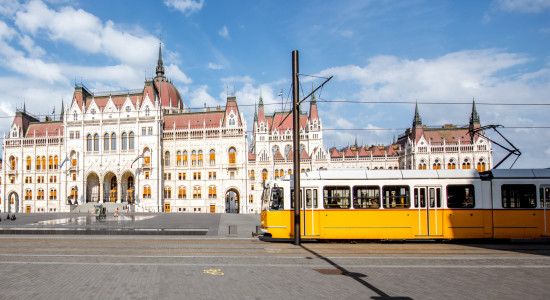 Thumbnail for 7060544