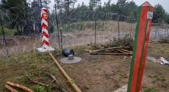 Thumbnail for 7060562