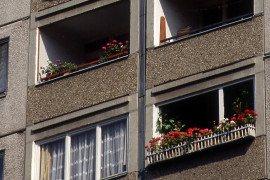 Thumbnail for 7060698